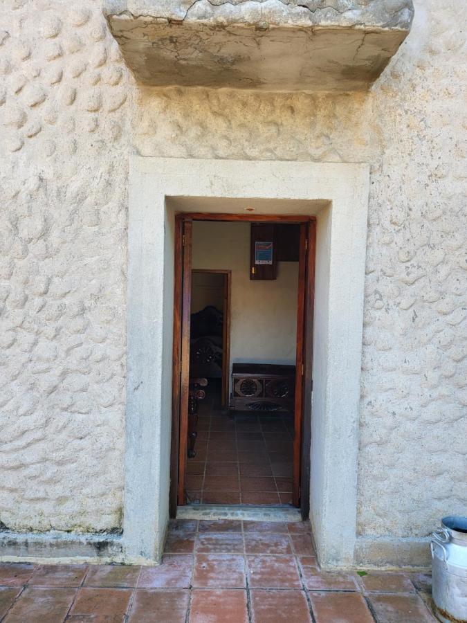 Amapala Hostal Casa De Las Gargolas מראה חיצוני תמונה